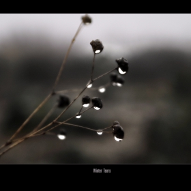 Winter Tears