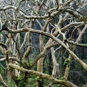 Sintra 1, Portugal