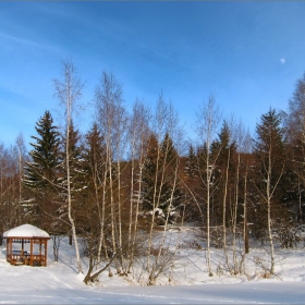 Зимно_6