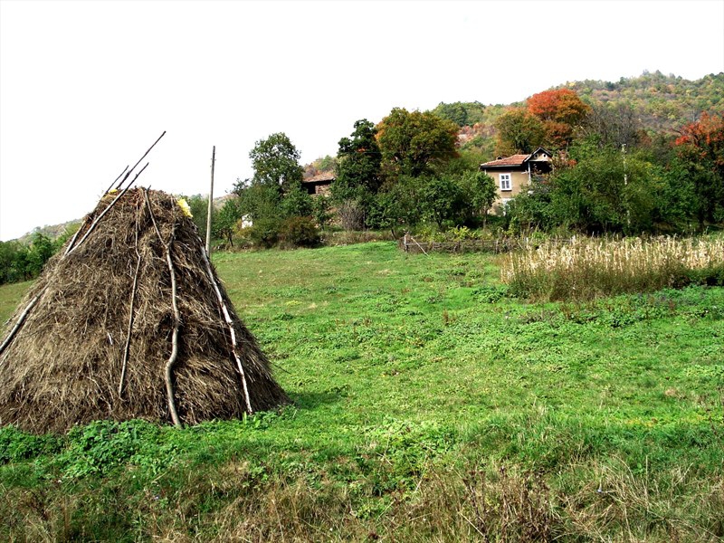 Zabraveni