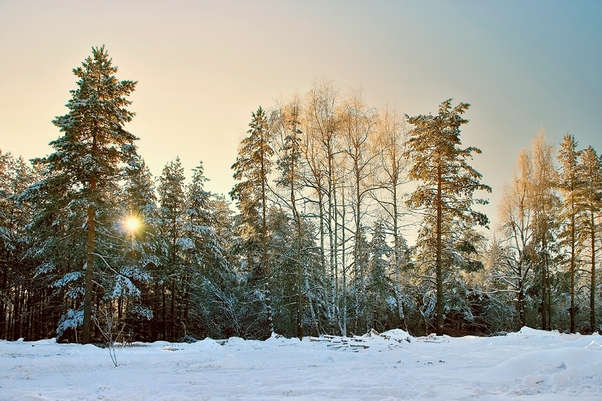 Снежно утро