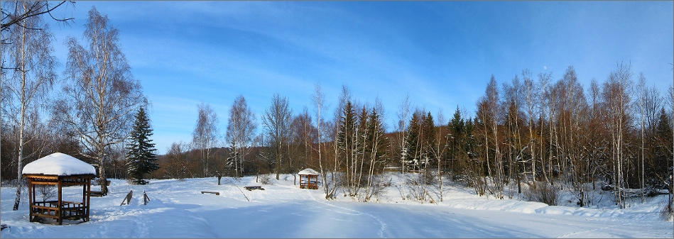 Зимно_12