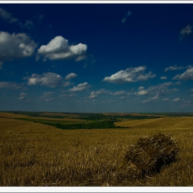 - Лято-In Memoriam (2) -