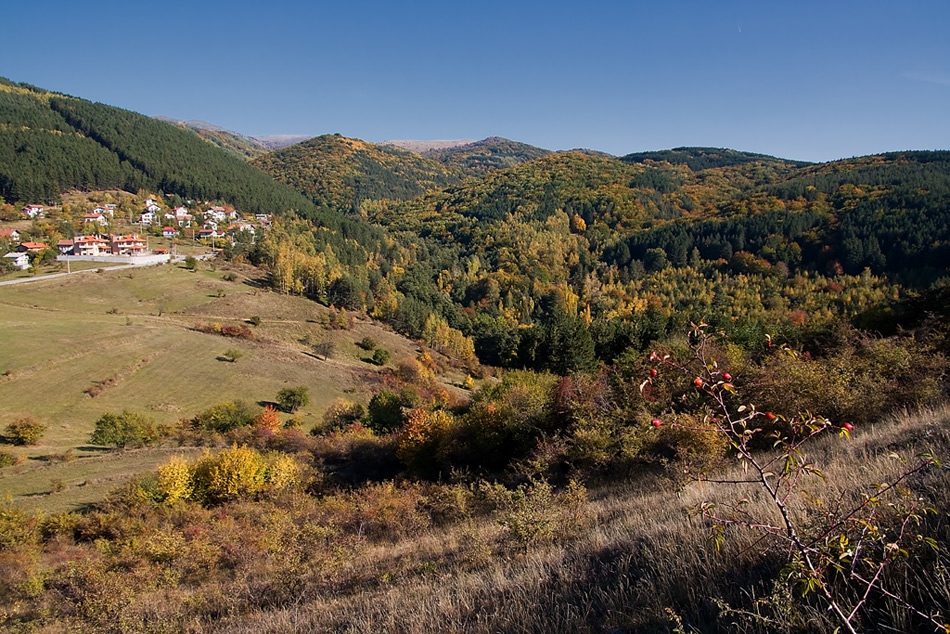 В началото на есента