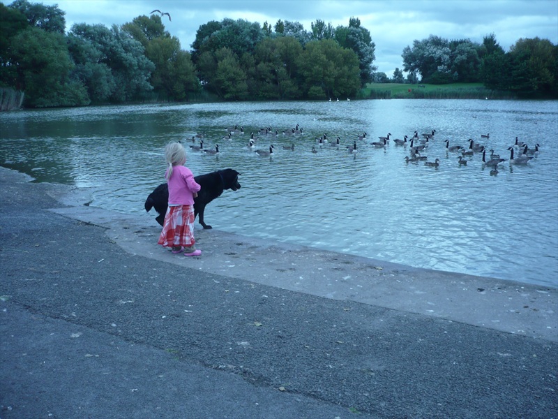 The little girl and her dog