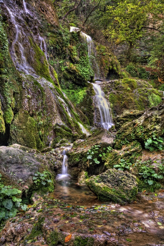 a return to nature
