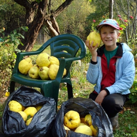 Плодородно