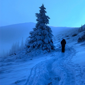 Snowy Path