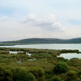 Сребърна