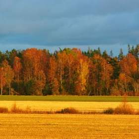 Autumn sunshine...