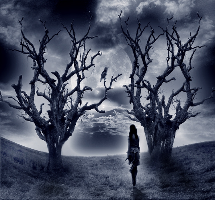 Dark Dreams