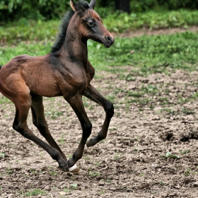 Снимка без име