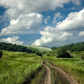 Жигули. Лето. Дорога.