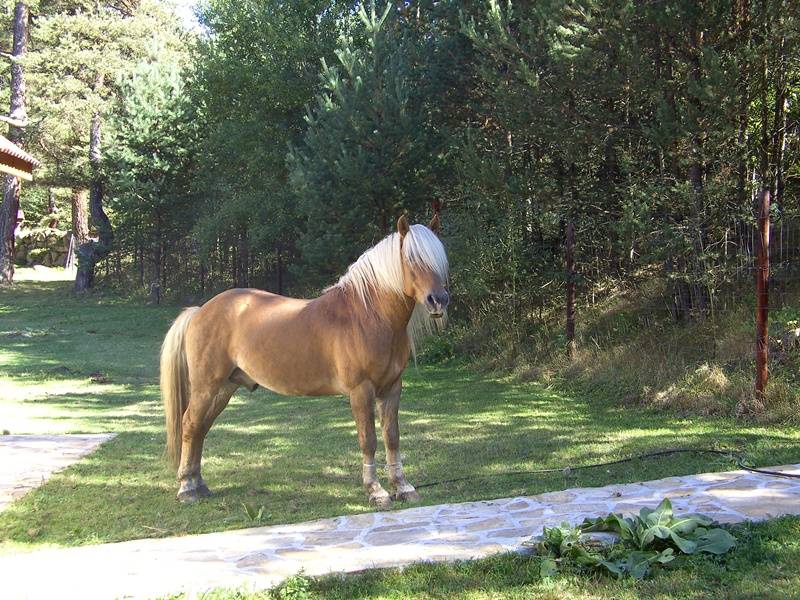Снимка без име