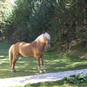 Снимка без име