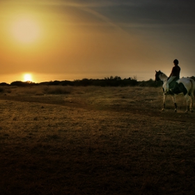 Sunset Ride II