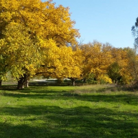 есенно-горски пейзаж