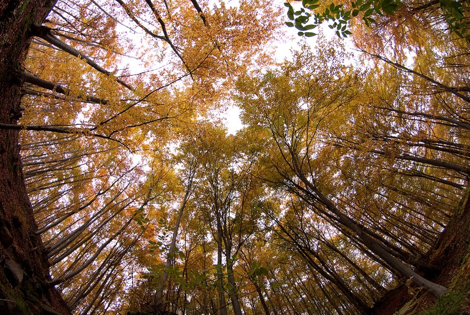 Earth's point of view