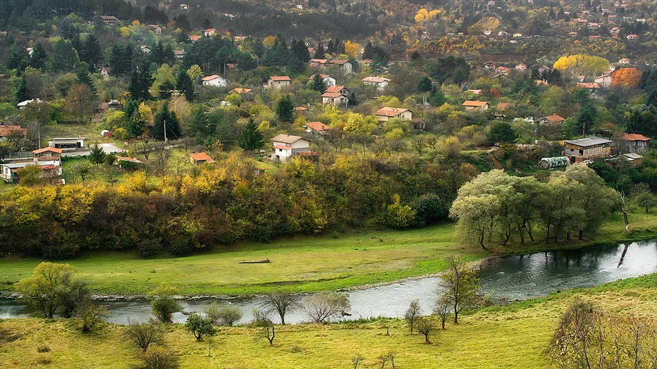 Есенна шаренийка