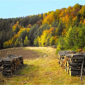 Преди зимата