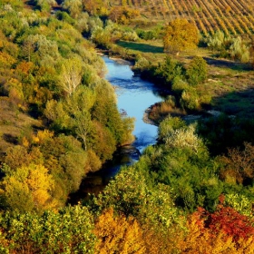 Есен край Тополница