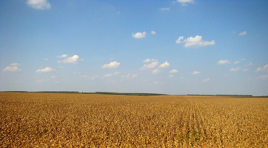 Добруджанско