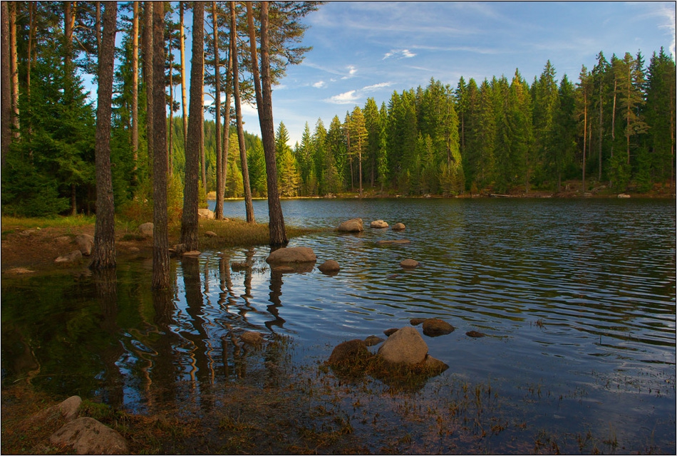 Странните приказки на Водния дух