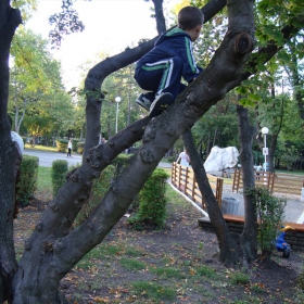 катерачът