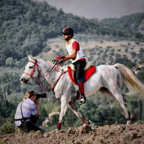 His Highness Sheykh Naseer Bin Hamad Al Khalifa - King of Bahrain