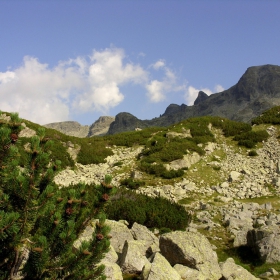 От пътеката