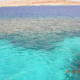 Red Sea2