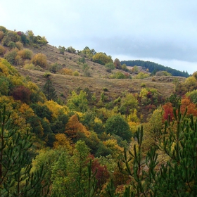 Старопланинско есенно