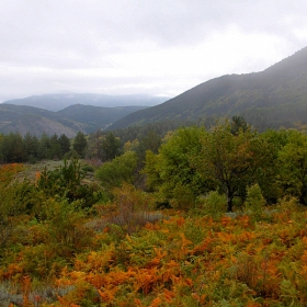 Есенни краски в Славянка