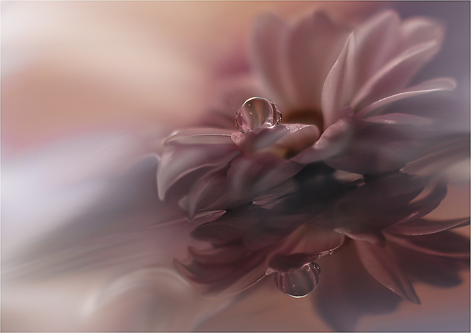 . . . unspoken words.....