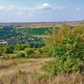 Снимки край шипковия храст