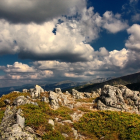 Рила