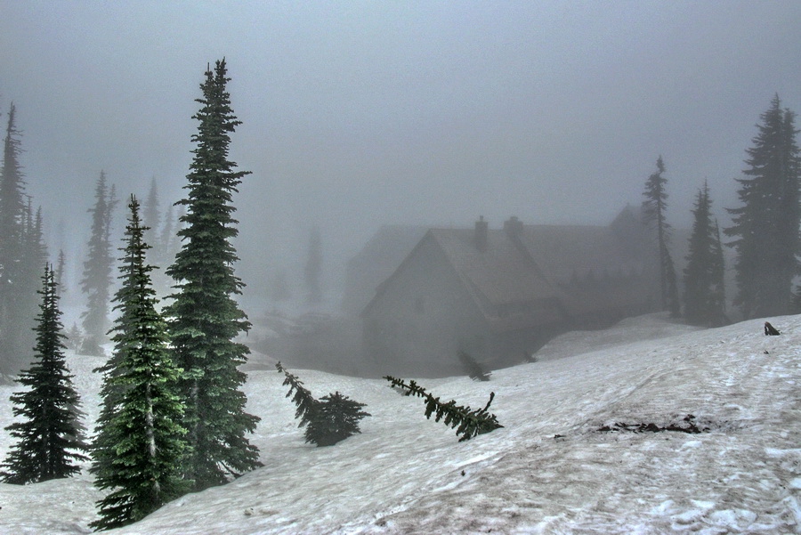 Rainier Mt. (юни 2009)