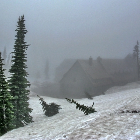 Rainier Mt. (юни 2009)