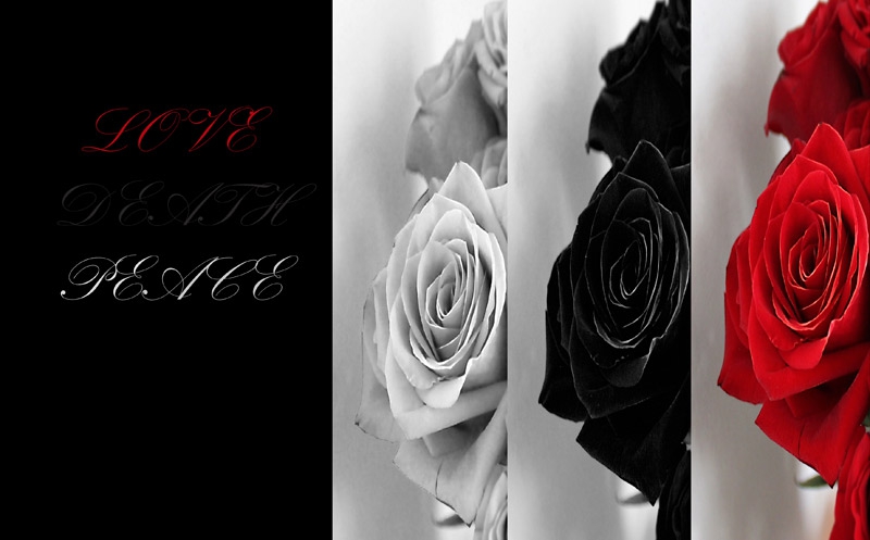 Love, death, peace...