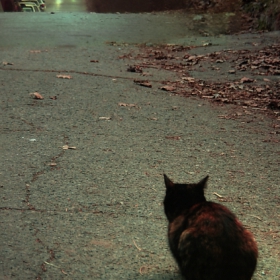 Curiosity....