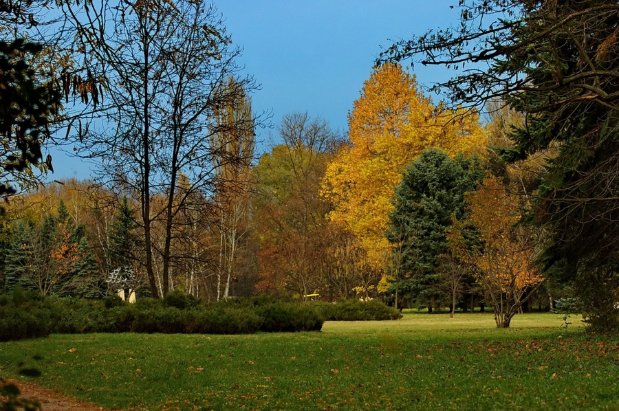 Есен в парка 3