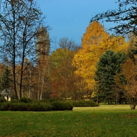 Есен в парка 3