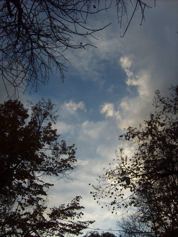 somewhere