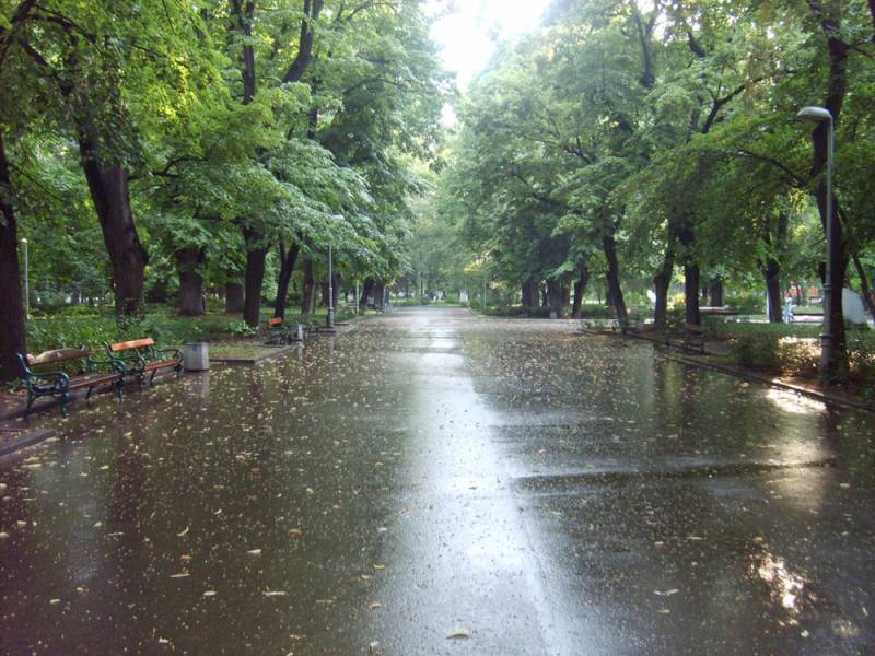 the city park