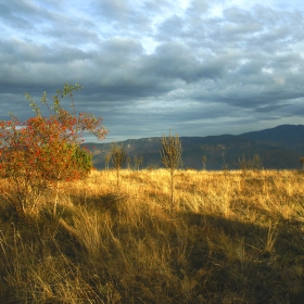 Есенна светлина