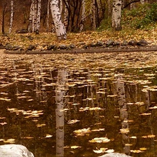 Есенно огледало