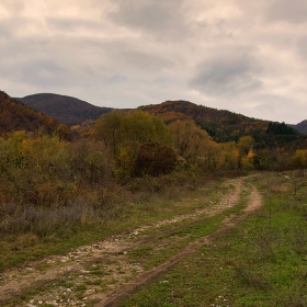 Есенни пътеки