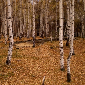 С тихи стъпки...