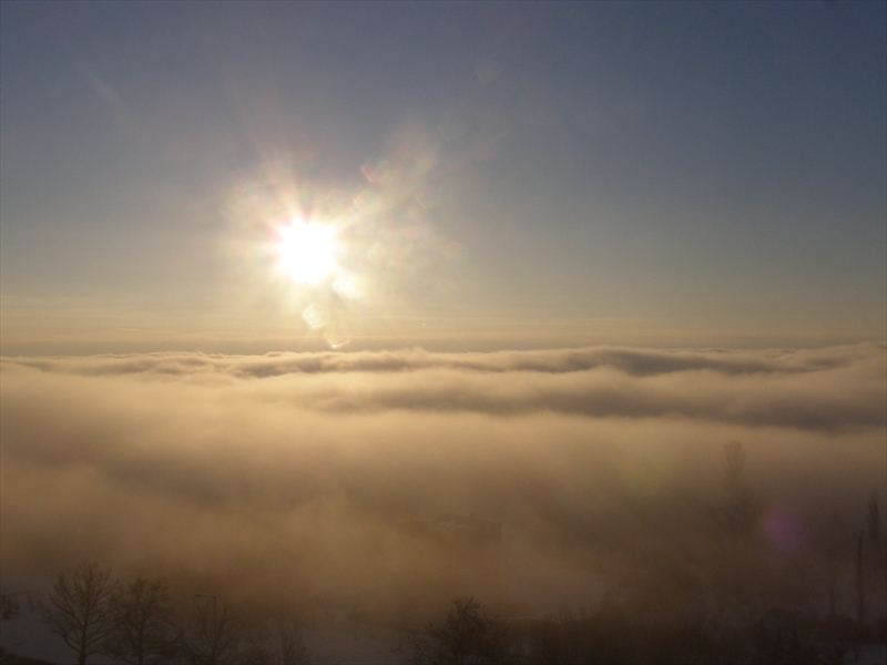 Misty Morning