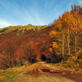 Есенни багри